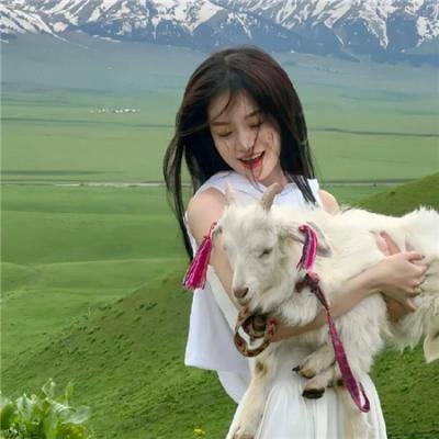 英雄虎胆美人恩